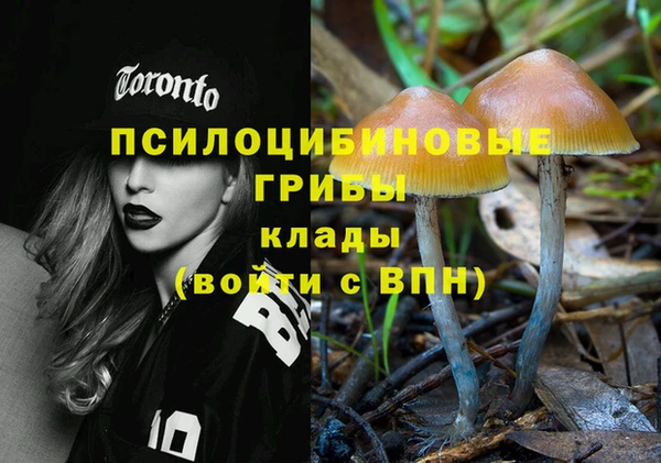 a pvp Верхний Тагил