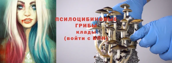 a pvp Верхний Тагил
