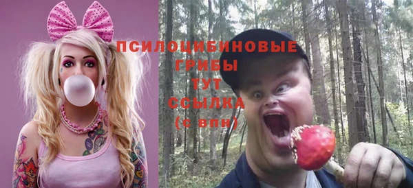 a pvp Верхний Тагил