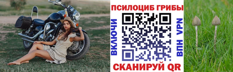Галлюциногенные грибы мицелий  Меленки 